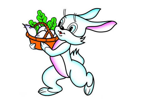 兔兔人的十二月：桃花满天飞还是烂到爆？