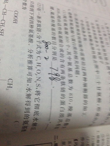 基础理论框架