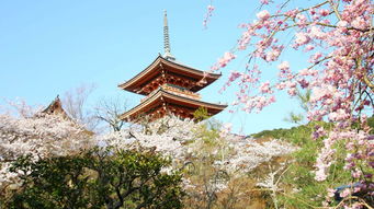 案例二：东京富士山浪漫之旅， 迪士尼到温泉的完美切换