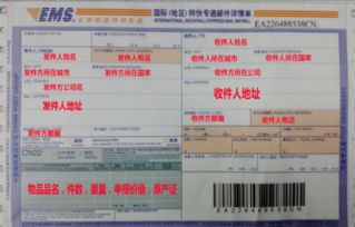6．私信渠道即时报价实例（DHL/UPS）