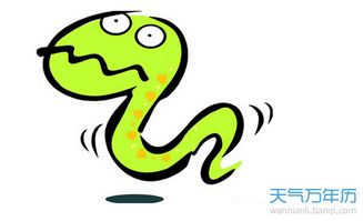 本命年属蛇女士送什么礼物最能体现她的开放个性？