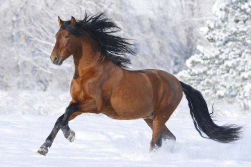 一、  五行命理与购车择日的内在逻辑关联