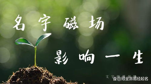 云字起名的寓意