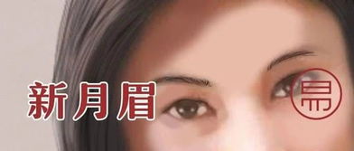 第四章：社交场域中的吸引力法则与心理机制