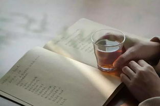 1.1 ， “岁月静好”体现了对日常幸福的追寻