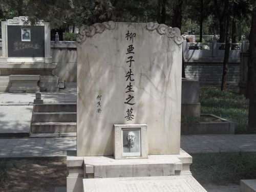 陵园较深处：荒芜墓地中的隐秘