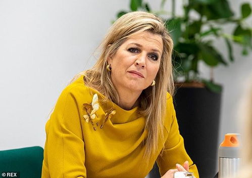 ：数字时代的身份构建与昵称符号学