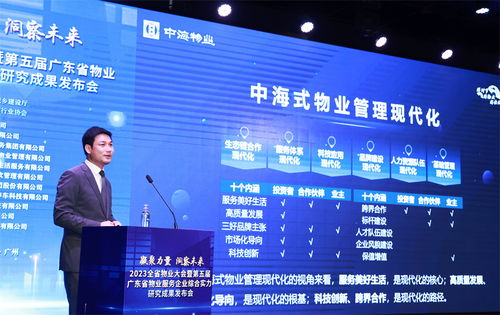 综合考量与决策建议