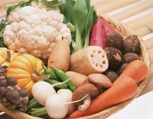 三、 传统医学视角下的药用价值