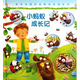 ：蚂蚁集体生活的化学基础及其成长过程概述