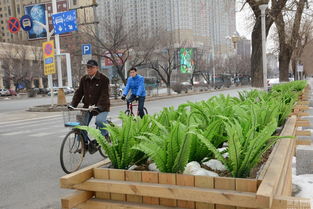 二、 不同生活空间范围对虚虚假植物敏感度之差异化评估