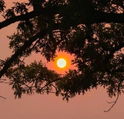 二、  独特不常见，个性鲜明