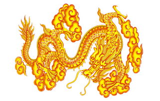 属龙的人投资运势中，破太岁应佩戴的物件是什么？