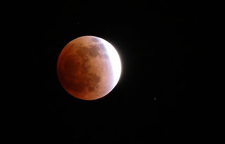 天上月亮四四七指的是哪个生肖？欲钱买天上月亮打一生肖是什么生肖的谐音？