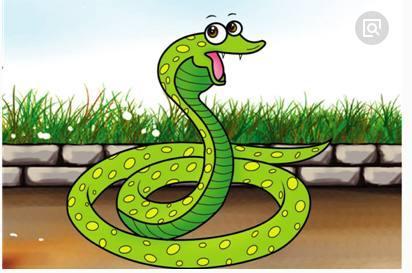 2026年3月属蛇运势日和1月14日运势分别如何？