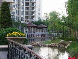 东湖花园是个啥？