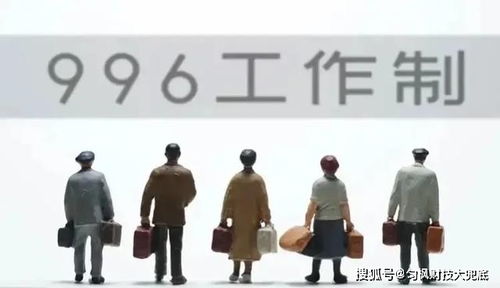 钱包保卫战：兔子的钞票都去哪了