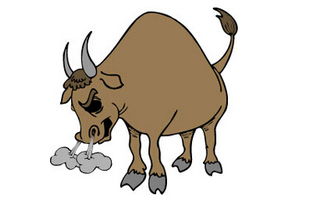 属鸡男与属猪女婚姻是否美满？属虎与属牛搭配婚姻前景如何？