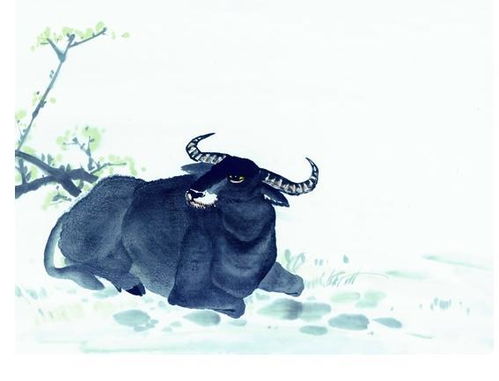 97年属牛女性格特点如何影响其事业运？