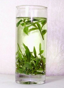 医学研究视角下的绿茶成分与功能