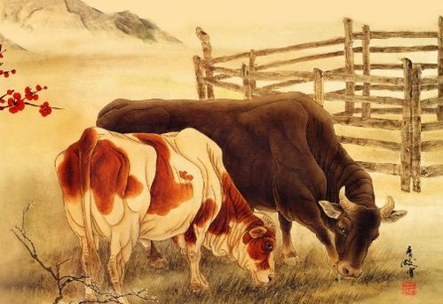 2026年属牛人的学业运势走势如何，考试运势怎样？