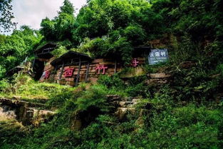 景区交通：选择困难症地狱