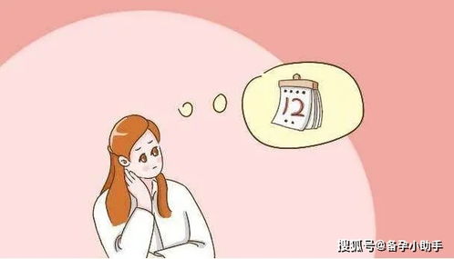 二、 文化底蕴层面的系统阐释