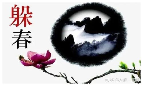 属兔狗年犯太岁吗？82狗年与87年兔能否共事？这是什么意思？