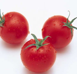 孕妇梦见好多西红柿是什么预兆？