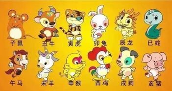 3. 早教机构运营或教学岗位