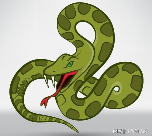 生肖属蛇：神秘曼妙之美