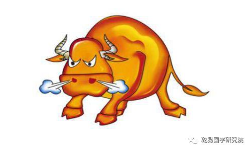 四、 风水布局与吉祥物辅助策略