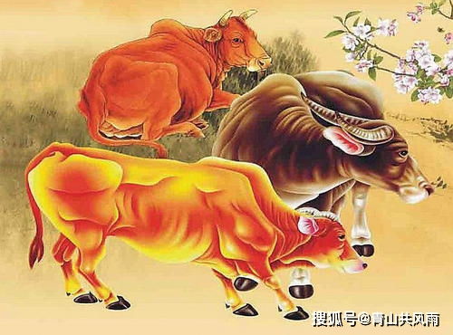 一、 整体运势概述