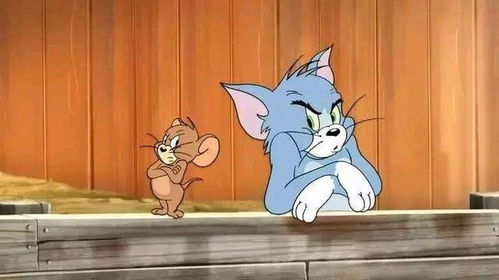 四、 克服命运困局的策略建议