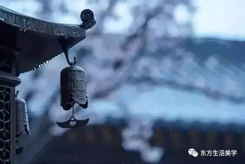 陈命生案例的时间序列重构