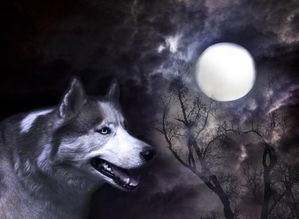 ：历史持续发展背景下的文化底蕴意蕴