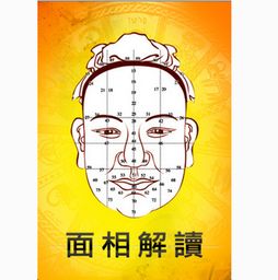 四、 性别差异对法令纹解读影响分析