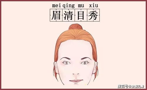 2.4 眉清目秀：艺术创意者的栖息地
