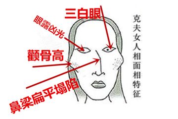 1. 眼部特征：精明与波澜的双重隐喻