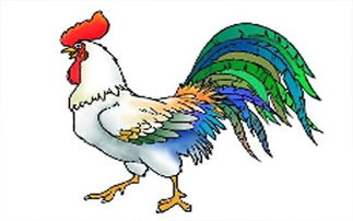 1945年属鸡的人寿命是多少年，其生肖寿命含义是什么？