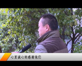 荒野中的遭遇