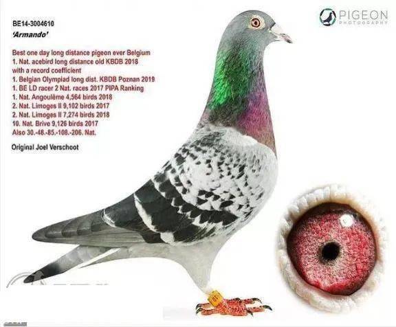 （二）近现代化保障措施