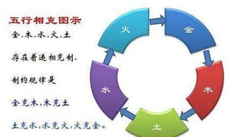 五行失衡与疾病隐患