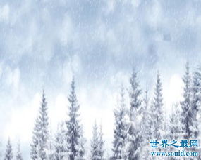 二、  从风水命理角度解读：雪中垂钓与个人运势