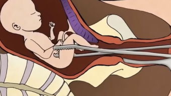 一、 科学视角下对婴灵概念的评估