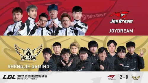 2026年LDL参赛队伍中，有哪些俱乐部成员姓名可以配对？