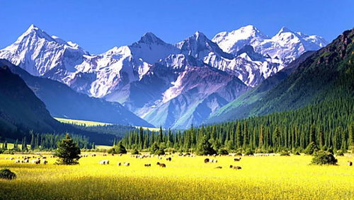 行程规划：12天11晚的紧凑框架