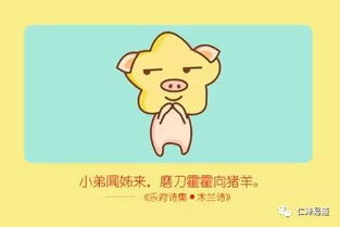 57年属猪的人对应的命格是什么？