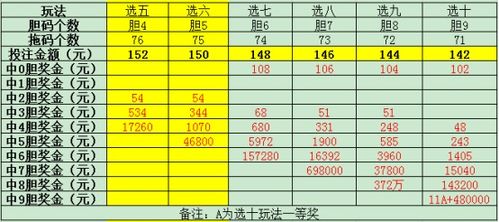 五、 实际应用中的策略示例
