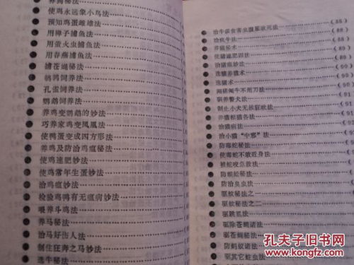 产虾捷径概览